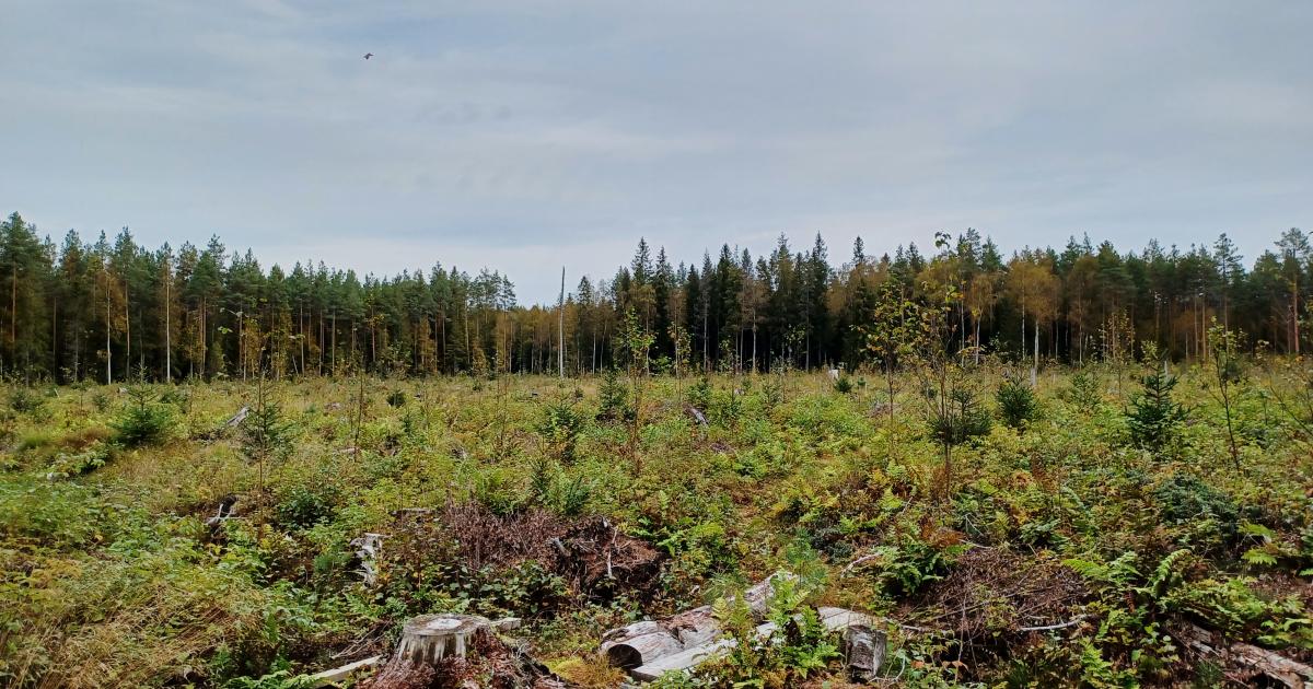 for-world-wetlands-day-launch-of-the-most-comprehensive-and-up-to-date